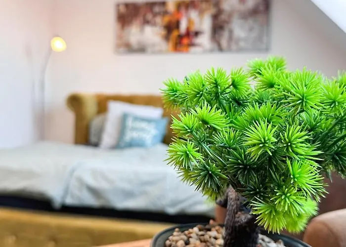 Homestayplus Schwerin *